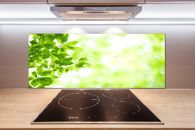 Panneau pour cuisine Feuilles
