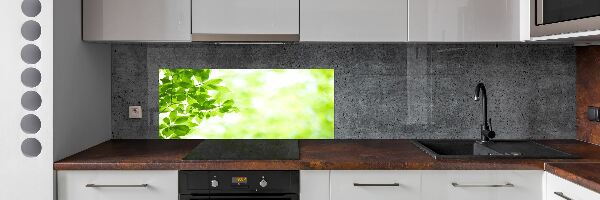 Panneau pour cuisine Feuilles