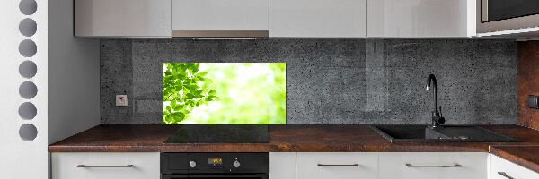 Panneau pour cuisine Feuilles
