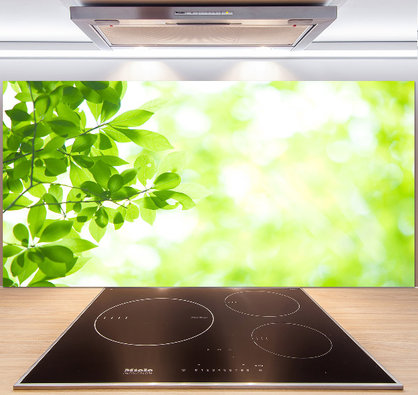 Panneau pour cuisine Feuilles