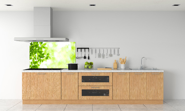 Panneau pour cuisine Feuilles