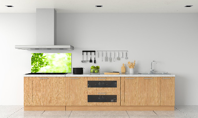 Panneau pour cuisine Feuilles