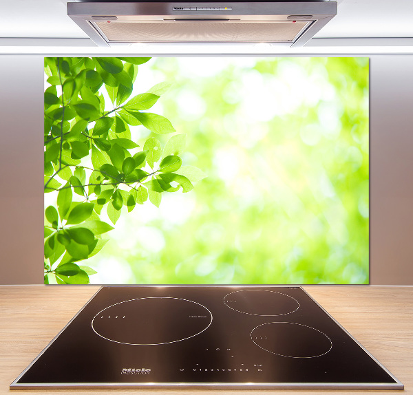 Panneau pour cuisine Feuilles
