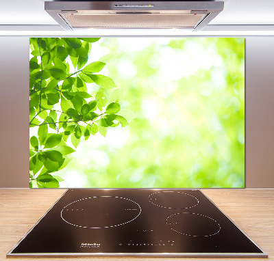 Panneau pour cuisine Feuilles