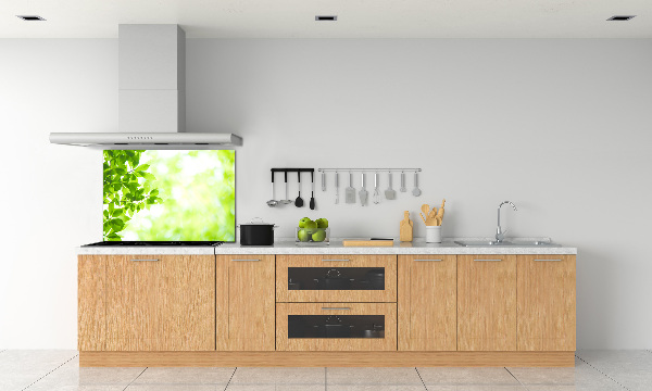 Panneau pour cuisine Feuilles