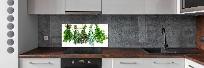 Crédence cuisine en verre Herbes sur une ficelle