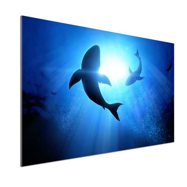 Crédence cuisine en verre Deux requins