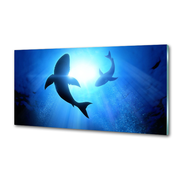 Crédence cuisine en verre Deux requins