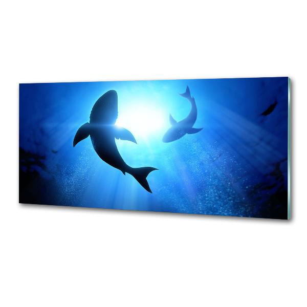 Crédence cuisine en verre Deux requins