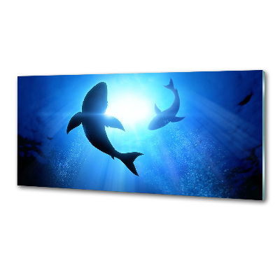 Crédence cuisine en verre Deux requins