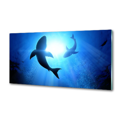 Crédence cuisine en verre Deux requins