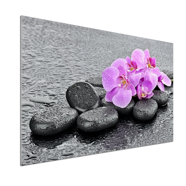 Panneau crédence cuisine Orchidées Pierres
