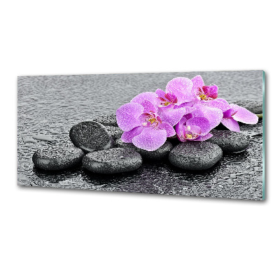 Panneau crédence cuisine Orchidées Pierres