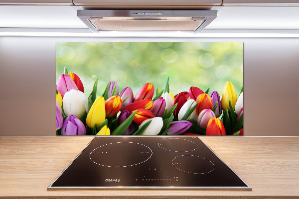 Verre pour crédence Tulipes colorées