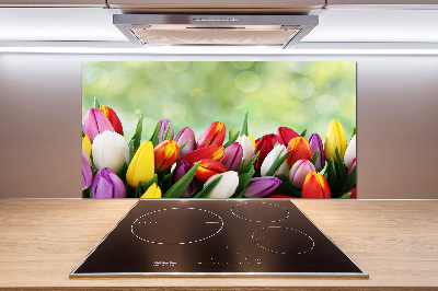 Verre pour crédence Tulipes colorées