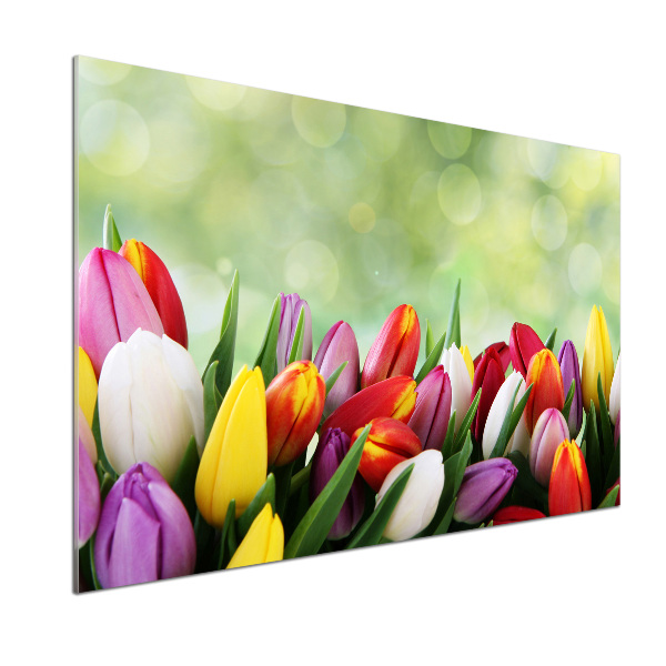 Verre pour crédence Tulipes colorées