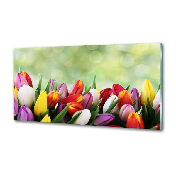 Verre pour crédence Tulipes colorées