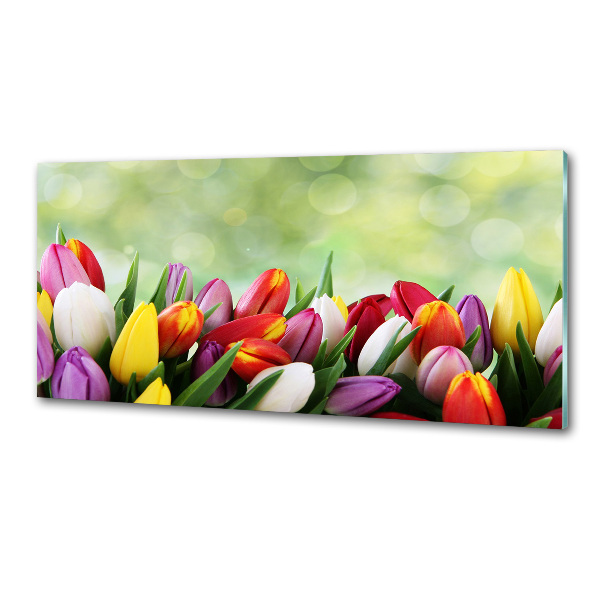 Verre pour crédence Tulipes colorées