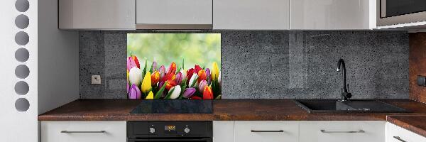 Verre pour crédence Tulipes colorées