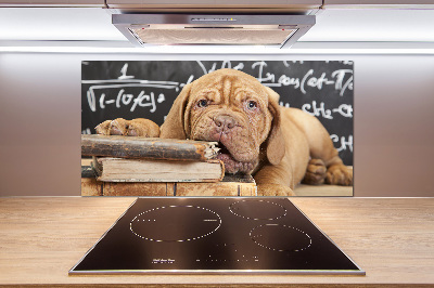 Crédence en verre avec motif Livre sur les morsures de chien