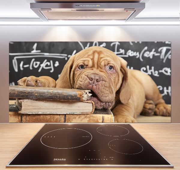 Crédence en verre avec motif Livre sur les morsures de chien
