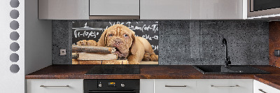 Crédence en verre avec motif Livre sur les morsures de chien