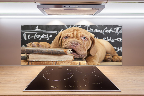 Crédence en verre avec motif Livre sur les morsures de chien