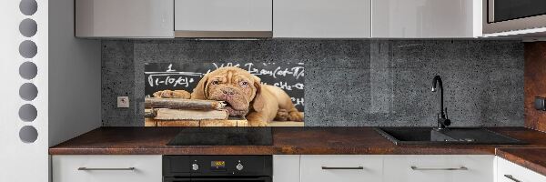 Crédence en verre avec motif Livre sur les morsures de chien