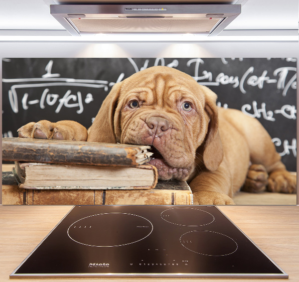 Crédence en verre avec motif Livre sur les morsures de chien