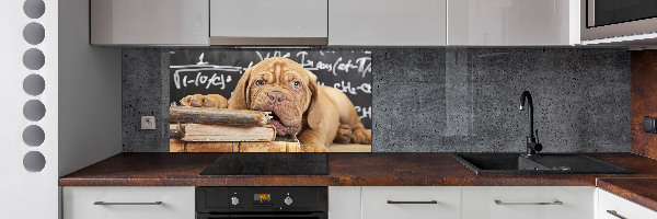 Crédence en verre avec motif Livre sur les morsures de chien