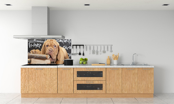 Crédence en verre avec motif Livre sur les morsures de chien