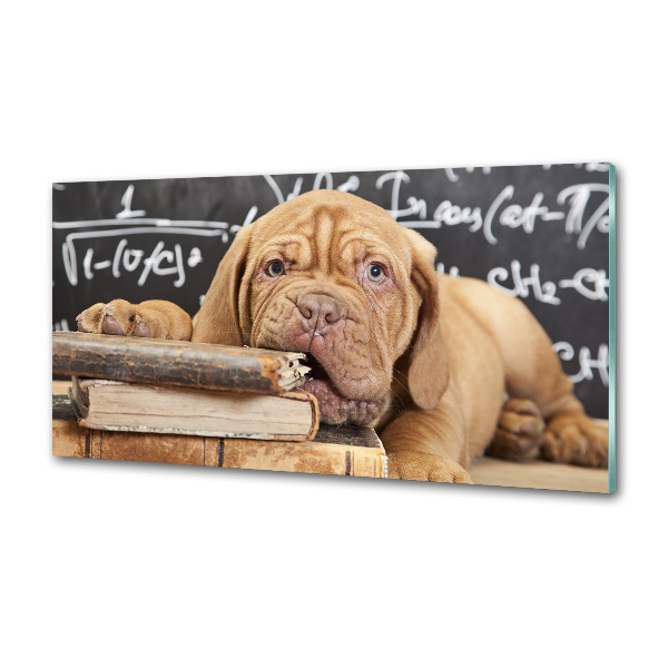 Crédence en verre avec motif Livre sur les morsures de chien