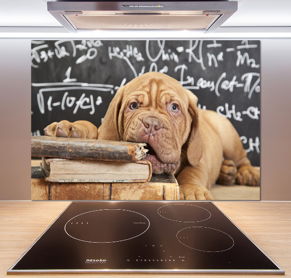 Crédence en verre avec motif Livre sur les morsures de chien