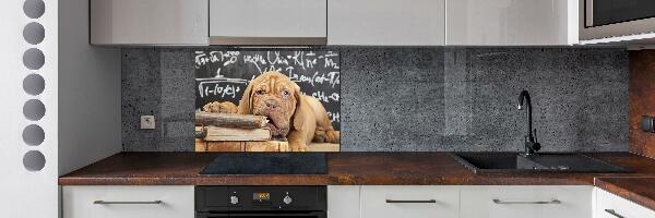 Crédence en verre avec motif Livre sur les morsures de chien
