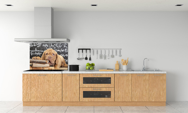 Crédence en verre avec motif Livre sur les morsures de chien