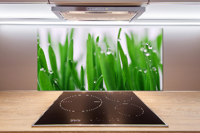 Crédence en verre cuisine Tiges d'herbe
