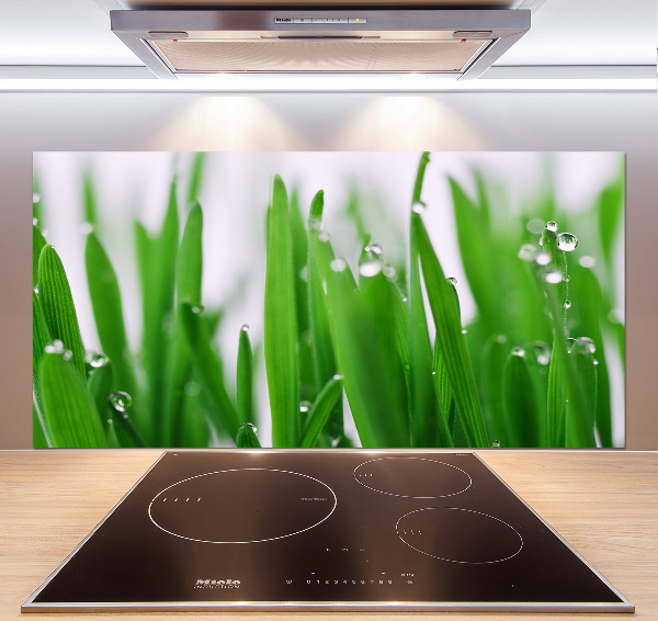 Crédence en verre cuisine Tiges d'herbe