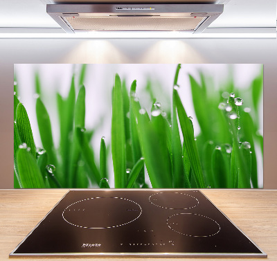 Crédence en verre cuisine Tiges d'herbe