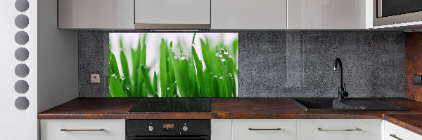 Crédence en verre cuisine Tiges d'herbe