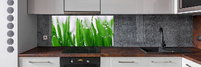 Crédence en verre cuisine Tiges d'herbe