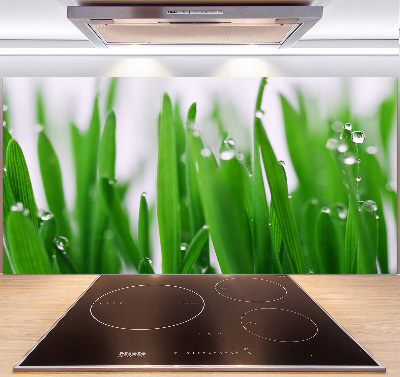 Crédence en verre cuisine Tiges d'herbe