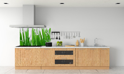 Crédence en verre cuisine Tiges d'herbe