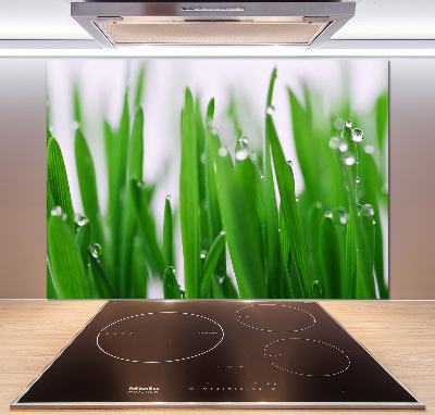 Crédence en verre cuisine Tiges d'herbe