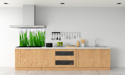 Crédence en verre cuisine Tiges d'herbe