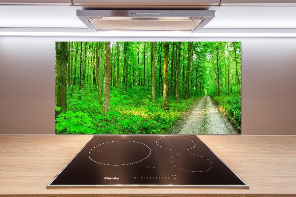 Panneau crédence cuisine Arbres dans la forêt