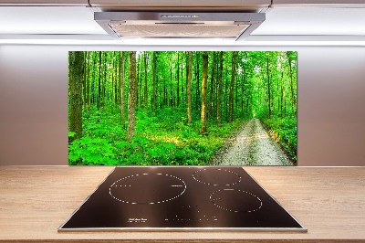 Panneau crédence cuisine Arbres dans la forêt