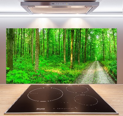 Panneau crédence cuisine Arbres dans la forêt