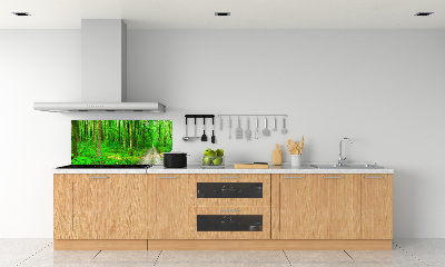 Panneau crédence cuisine Arbres dans la forêt