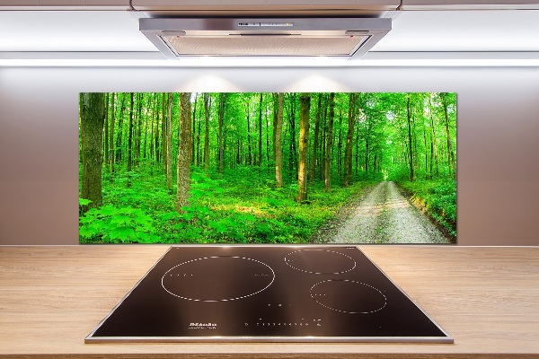 Panneau crédence cuisine Arbres dans la forêt
