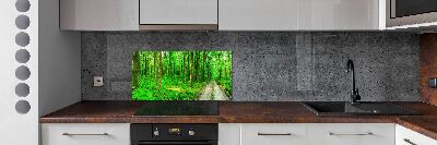 Panneau crédence cuisine Arbres dans la forêt